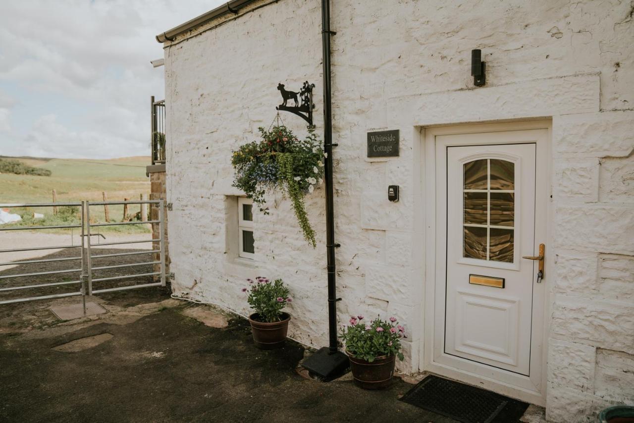 White Side Cottage Haltwhistle Exteriör bild